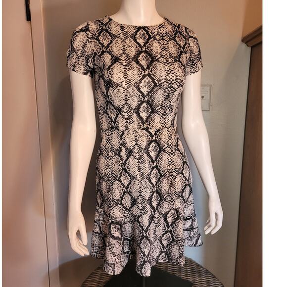 LOVE…ADY Snakeskin Fit & Flare Dress Sz Small USA Indie Minimalist Career - Picture 1 of 9